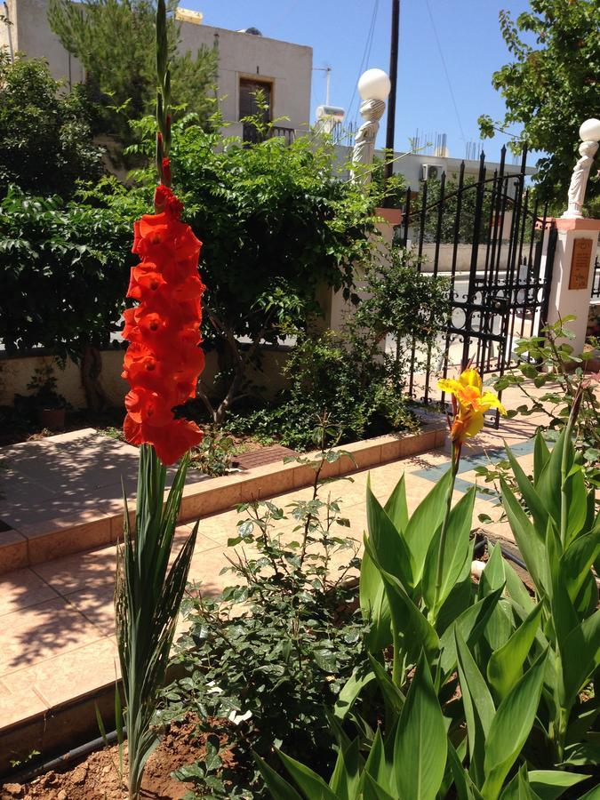 Palmira Apartments Makry Gialos  Exterior photo